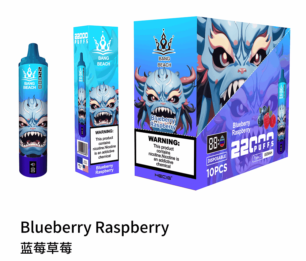 Disposable vape packaging with a dragon-like design, labeled "Blueberry Raspberry" in English and Chinese, displaying 22000 puffs, 680mAh, and Type-C charging. Includes nicotine warning.