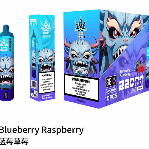 Disposable vape packaging with a dragon-like design, labeled "Blueberry Raspberry" in English and Chinese, displaying 22000 puffs, 680mAh, and Type-C charging. Includes nicotine warning.