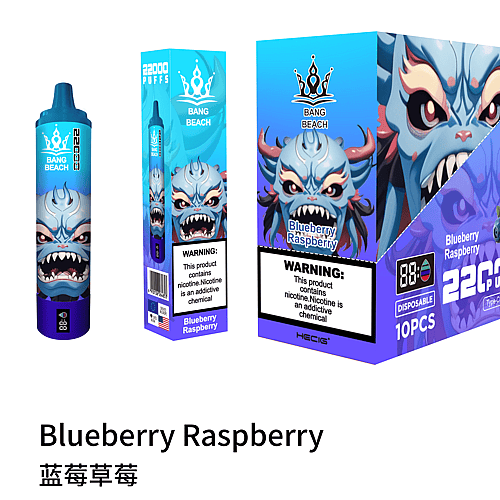 Envase de vape desechable con diseño de dragón, etiquetado "Blueberry Raspberry" en inglés y chino, que muestra 22 000 bocanadas, 680 mAh y carga tipo C. Incluye advertencia sobre la nicotina.