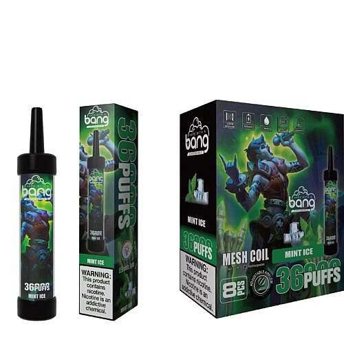 "Bang disposable vape device and packaging featuring a mint ice flavor with a fantasy-themed character on the box."