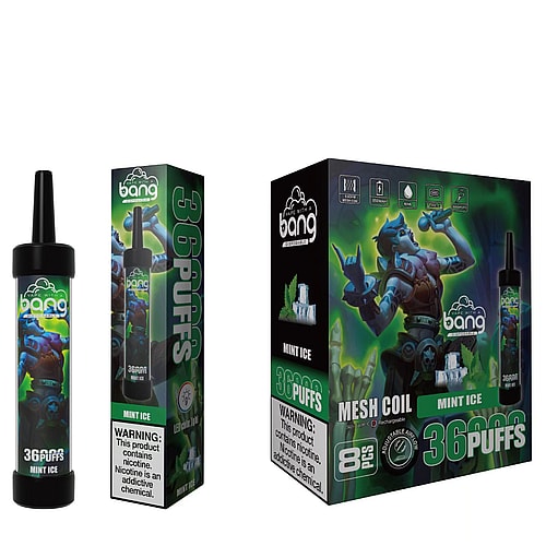 "Bang disposable vape device and packaging featuring a mint ice flavor with a fantasy-themed character on the box."